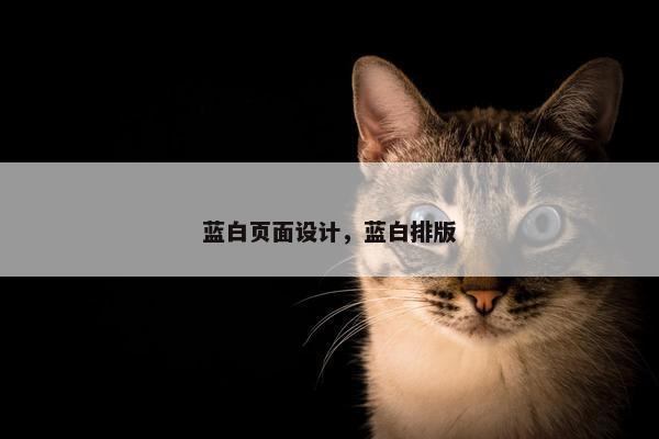 蓝白页面设计，蓝白排版