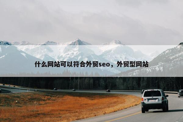 什么网站可以符合外贸seo，外贸型网站