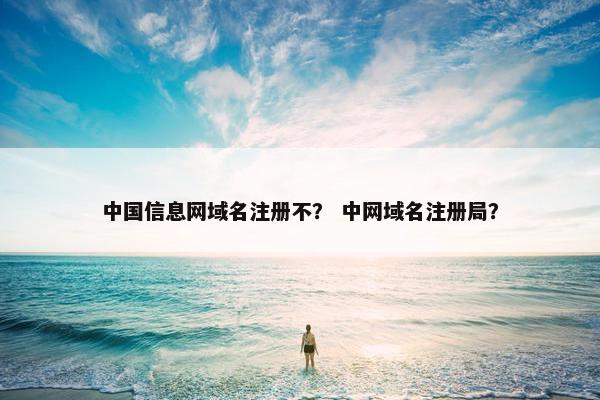 中国信息网域名注册不？ 中网域名注册局？
