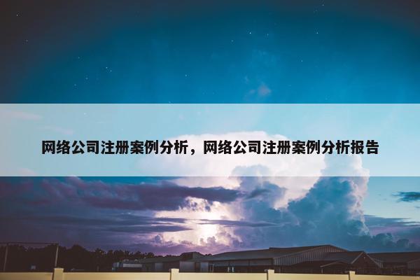 网络公司注册案例分析，网络公司注册案例分析报告
