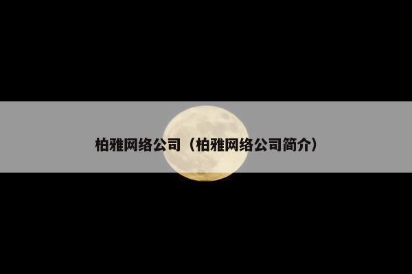 柏雅网络公司（柏雅网络公司简介）