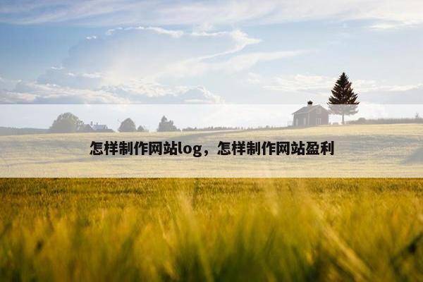 怎样制作网站log，怎样制作网站盈利