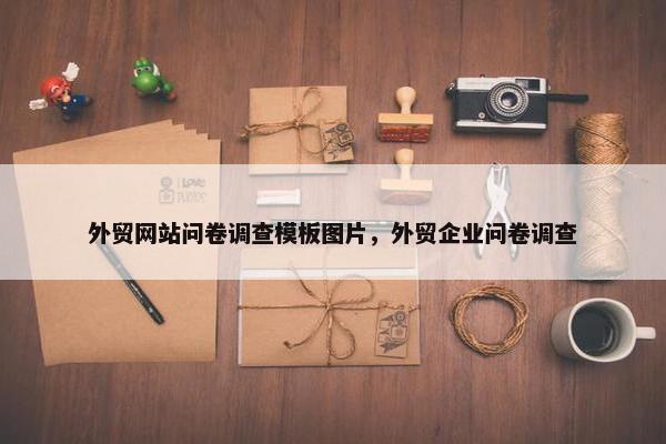 外贸网站问卷调查模板图片，外贸企业问卷调查