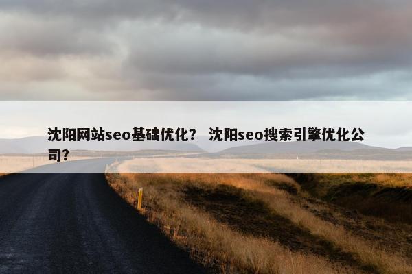 沈阳网站seo基础优化？ 沈阳seo搜索引擎优化公司？
