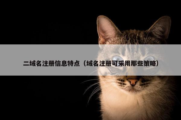 二域名注册信息特点（域名注册可采用那些策略）