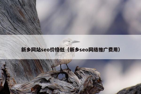 新乡网站seo价格低（新乡seo网络推广费用）