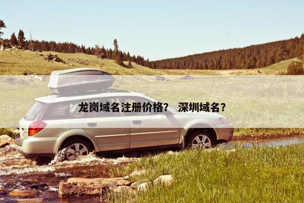 龙岗域名注册价格？ 深圳域名？