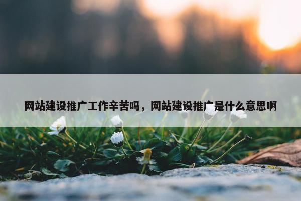 网站建设推广工作辛苦吗，网站建设推广是什么意思啊