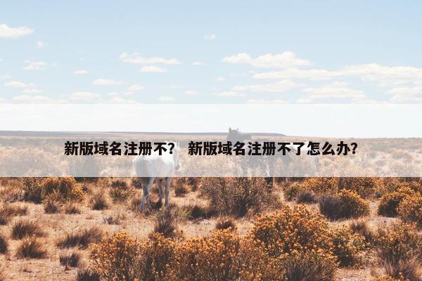 新版域名注册不？ 新版域名注册不了怎么办？