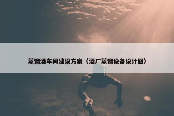 蒸馏酒车间建设方案（酒厂蒸馏设备设计图）