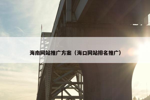海南网站推广方案（海口网站排名推广）