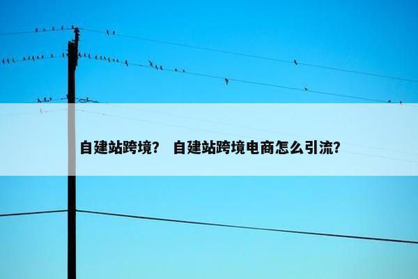 自建站跨境？ 自建站跨境电商怎么引流？