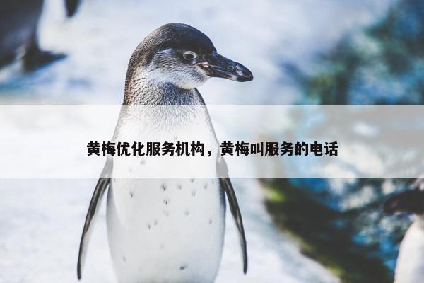黄梅优化服务机构，黄梅叫服务的电话