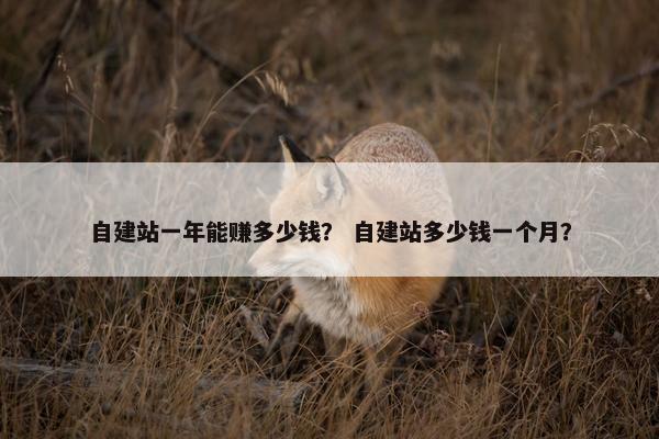 自建站一年能赚多少钱？ 自建站多少钱一个月？