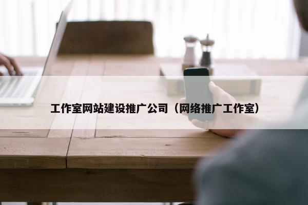 工作室网站建设推广公司（网络推广工作室）