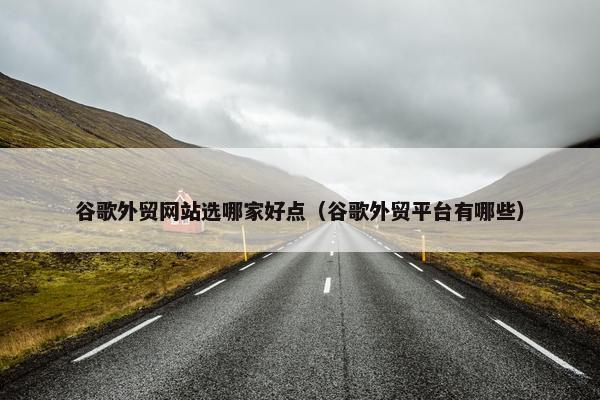 谷歌外贸网站选哪家好点（谷歌外贸平台有哪些）