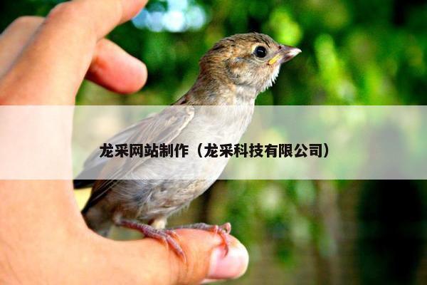 龙采网站制作（龙采科技有限公司）