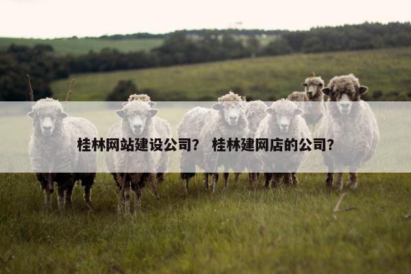 桂林网站建设公司？ 桂林建网店的公司？