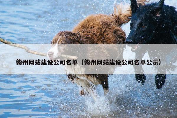 赣州网站建设公司名单（赣州网站建设公司名单公示）