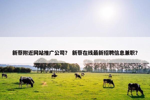 新蔡附近网站推广公司？ 新蔡在线最新招聘信息兼职？