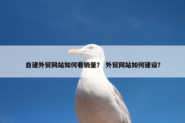 自建外贸网站如何看销量？ 外贸网站如何建设？
