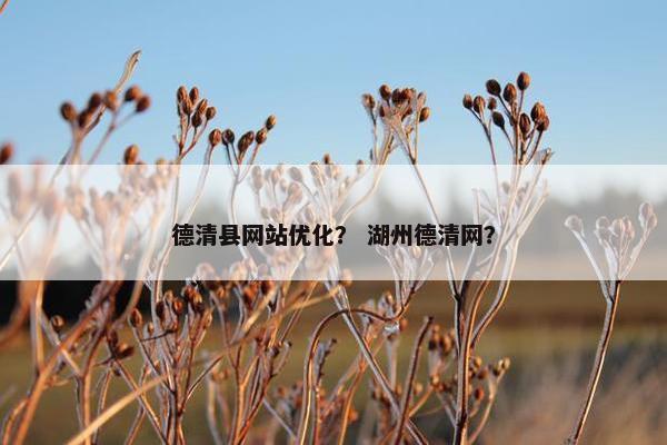 德清县网站优化？ 湖州德清网？