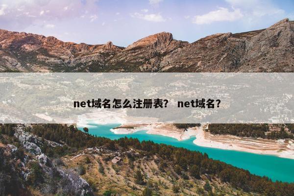net域名怎么注册表？ net域名？