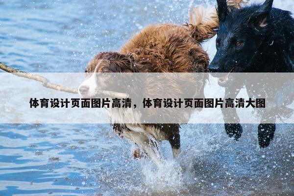 体育设计页面图片高清，体育设计页面图片高清大图