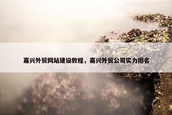嘉兴外贸网站建设教程，嘉兴外贸公司实力排名