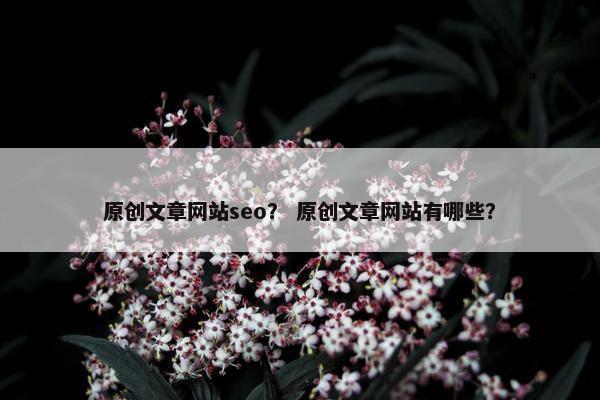 原创文章网站seo？ 原创文章网站有哪些？