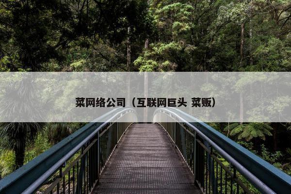 菜网络公司（互联网巨头 菜贩）