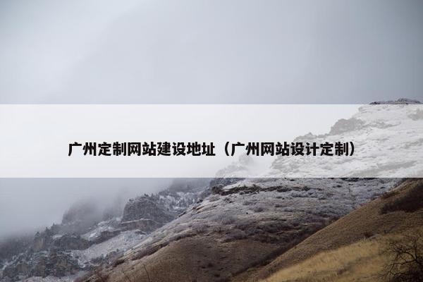 广州定制网站建设地址（广州网站设计定制）