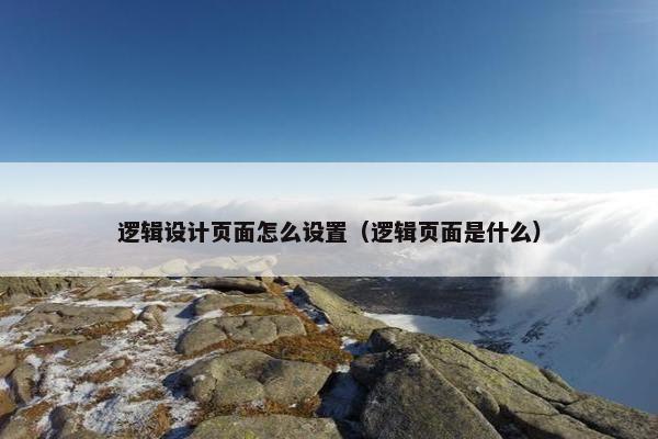 逻辑设计页面怎么设置（逻辑页面是什么）