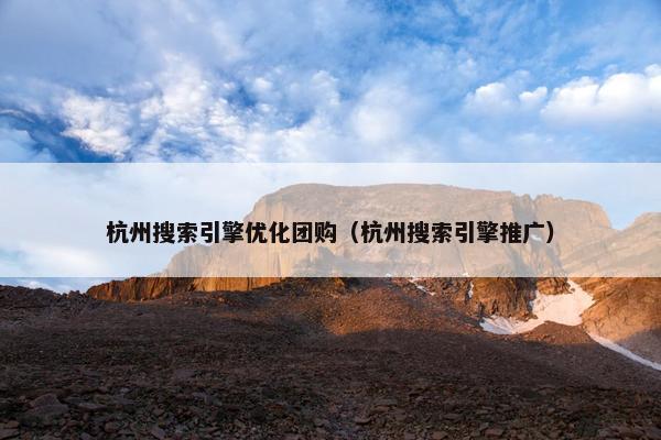 杭州搜索引擎优化团购（杭州搜索引擎推广）