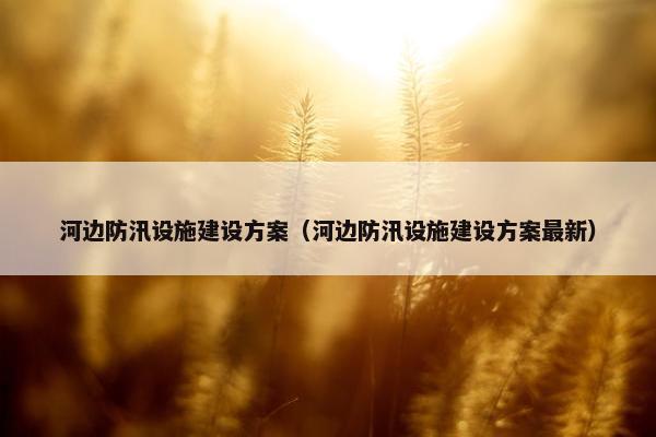 河边防汛设施建设方案（河边防汛设施建设方案最新）