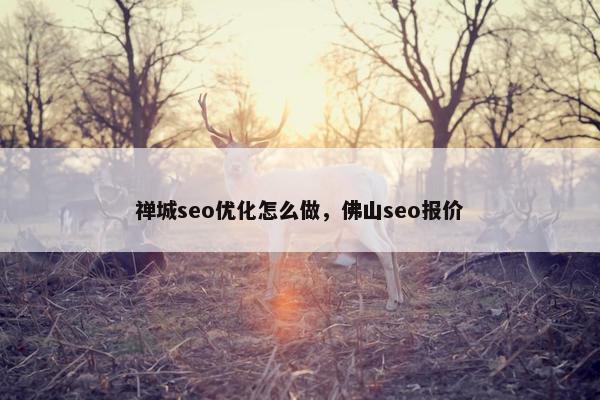 禅城seo优化怎么做，佛山seo报价