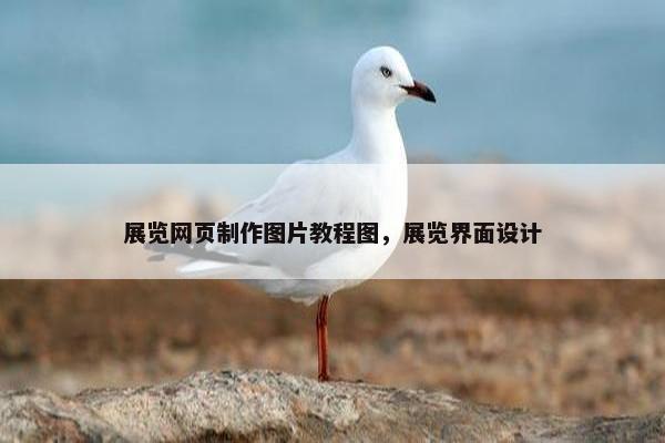 展览网页制作图片教程图，展览界面设计