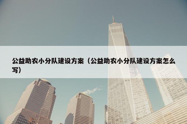 公益助农小分队建设方案（公益助农小分队建设方案怎么写）