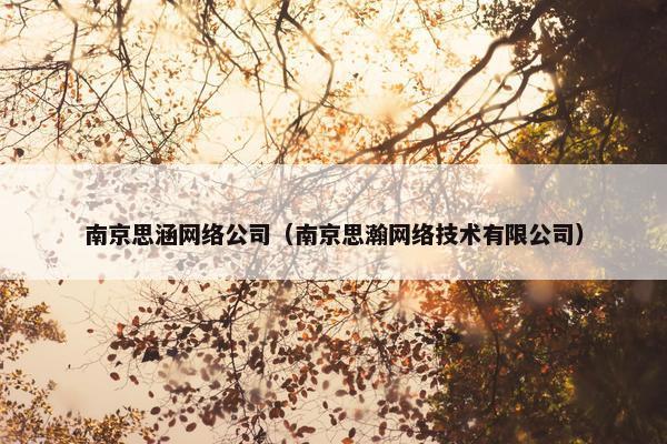 南京思涵网络公司（南京思瀚网络技术有限公司）