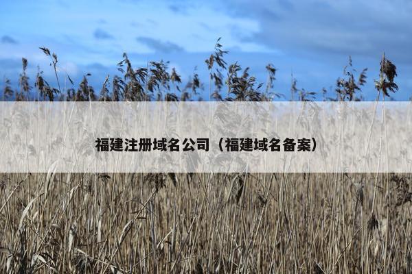 福建注册域名公司（福建域名备案）
