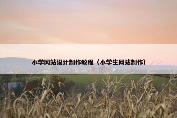 小学网站设计制作教程（小学生网站制作）