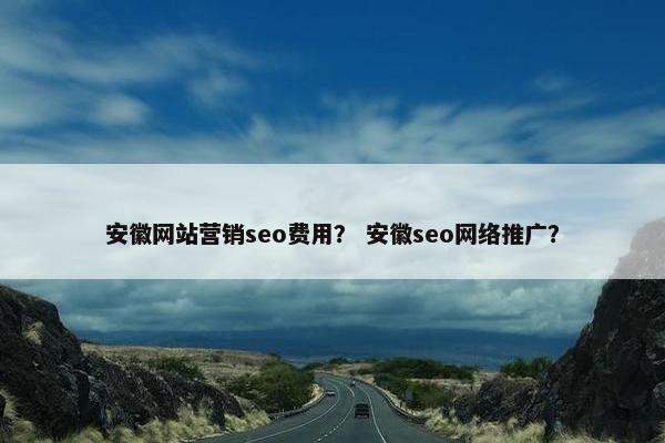 安徽网站营销seo费用？ 安徽seo网络推广？