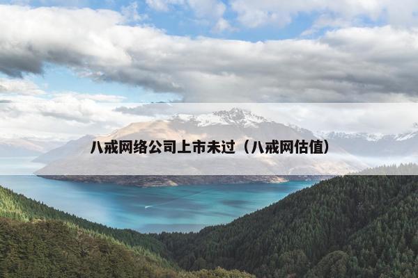 八戒网络公司上市未过（八戒网估值）