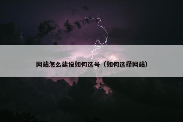 网站怎么建设如何选号（如何选择网站）