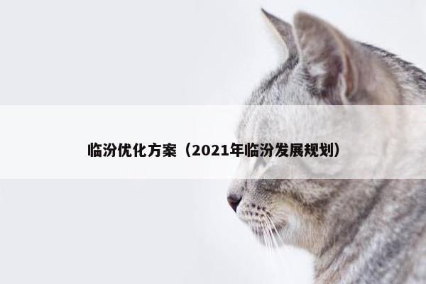 临汾优化方案（2021年临汾发展规划）