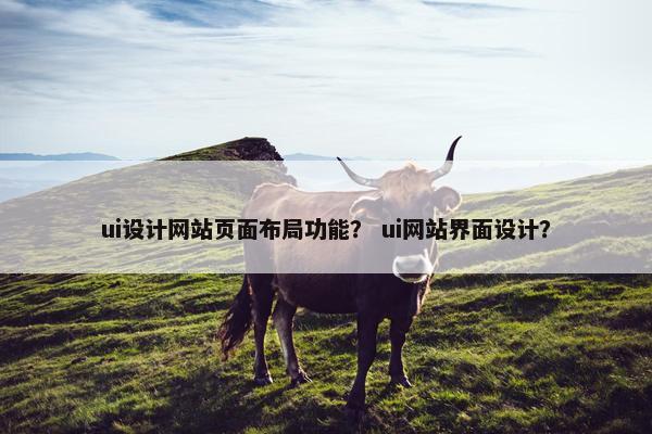 ui设计网站页面布局功能？ ui网站界面设计？