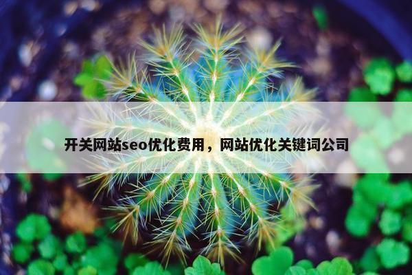 开关网站seo优化费用，网站优化关键词公司
