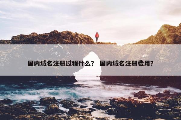 国内域名注册过程什么？ 国内域名注册费用？