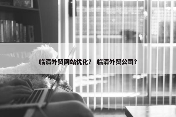 临清外贸网站优化？ 临清外贸公司？