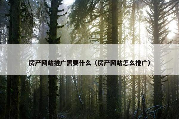 房产网站推广需要什么（房产网站怎么推广）